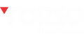 Torso Healthcare Logo