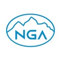 NexGen Analytics Logo