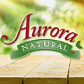 Aurora Products, Inc Logo