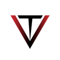 TECHVIZON PRIVATE LIMITED Logo
