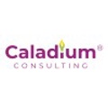 Caladium Consulting Logo