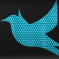 BlueRavenStudios Logo