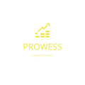 Prowess Solutions Logo