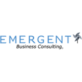 Emergent Business Consulting, LLC Logo