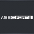 eSecForte Technologies Logo