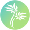 Technology Aloha Logo