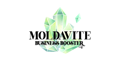 Moldavite Business Booster Logo