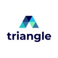Triangle Technology Services Logo