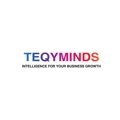 Teqy Minds Logo