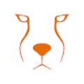 Acinonyx Web Agency Logo