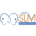 SLM Consultoria de RH Logo