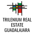 Trilenium, S.A. De C.V. Logo