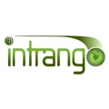 Intrango Web Design Logo