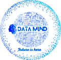 Datamind LTD Logo