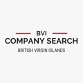 BVI Company Search Logo