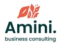 Amini Business Consulting Logo
