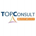 Top Consult Logo