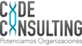 CODE Consulting Logo