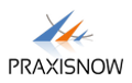 PraxisNow Logo