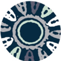 Diversity Focus Logo