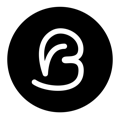 Bogdan Biris Logo