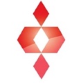 Diamond State Financial Group Logo