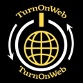TurnOnWeb Solutions Logo
