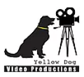 Yellow Dog Video Production Logo
