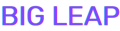BigLeap Marketing Logo