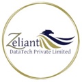 Zeliant DataTech {Data Entry India} Logo