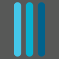 Fromson Consulting Logo