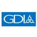 GDI SEO Company Logo