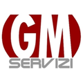 GM Servizi Logo