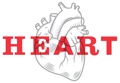 Heart Logo