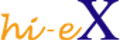 HI-EX IT SERVICES Logo