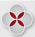 Kleeman Group Logo