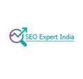 SEO Expert India Logo