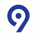 Levi9 Technology Services Logo