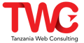 Tanzania Web Consulting Logo