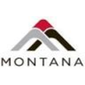 Montana Consulting Group Logo