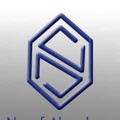Nayef Abu Sakran Company International Logo