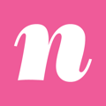 Nice Branding Agency Logo