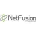 NetFusion Consulting Inc. Logo