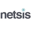 Netsis Technology Logo
