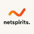 Netspirits Online Marketing Logo