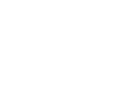 New Logic Logo