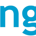 ng experts Logo