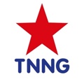 The No Nonsense Group Logo