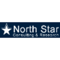 North Star Consulting & Research Logo