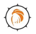 Pattronize InfoTech Logo